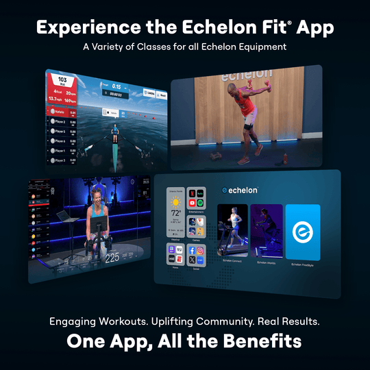 Strength Storage Bench - Partner - Echelon Fit US